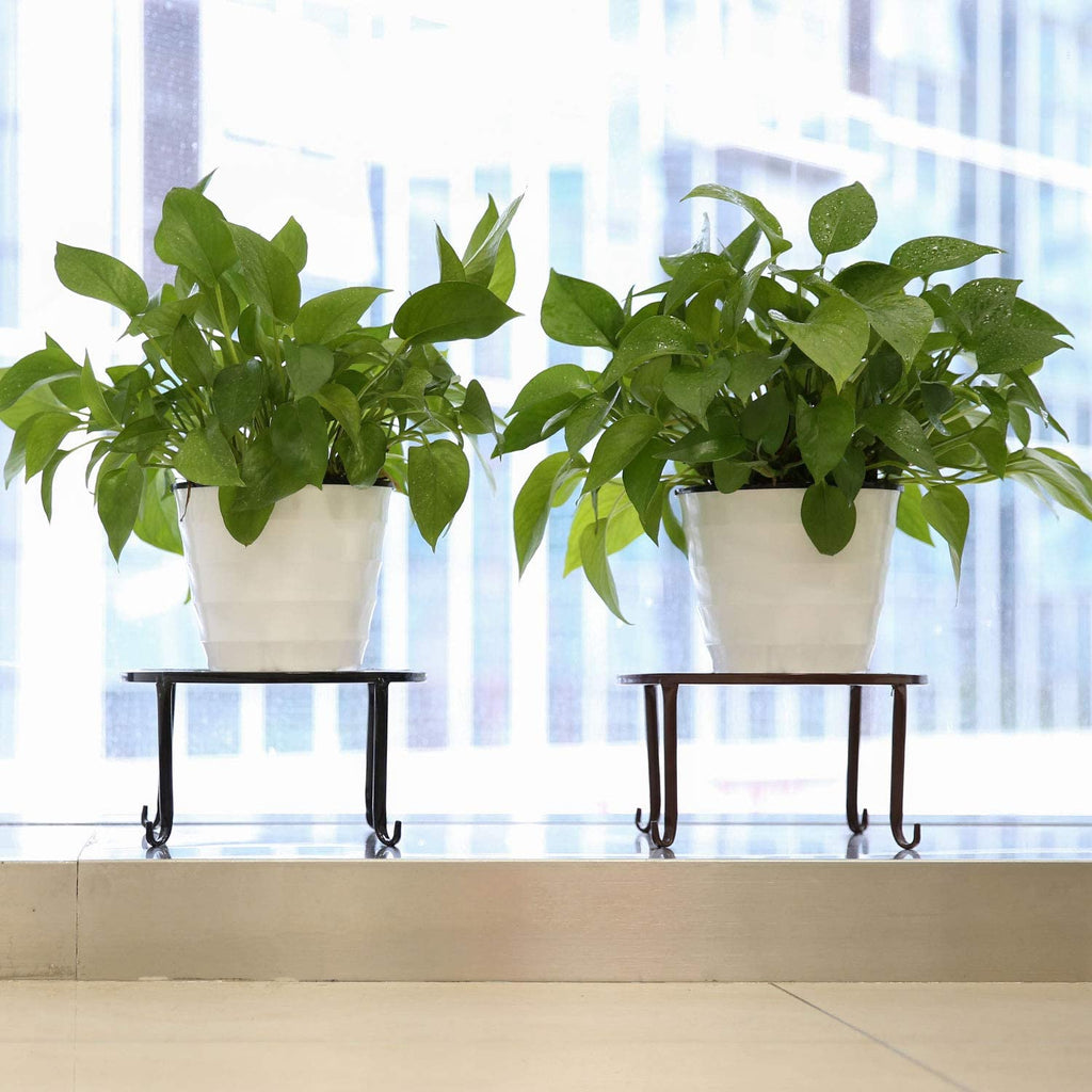 3 Pack Potted Plant Stand